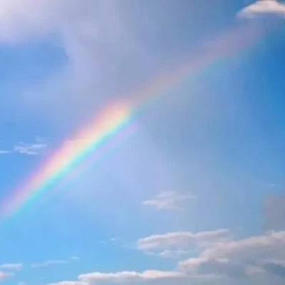 manbetx官网在线登录